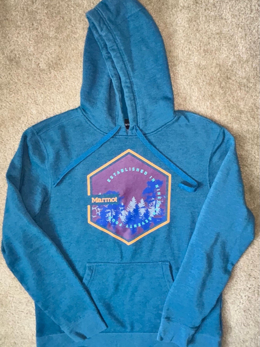 Marmot Teal Blue Graphic Hooded Sweatshirt